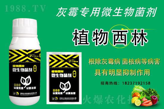 2021��4��13�՚������r(ji��)���߄�(sh��)