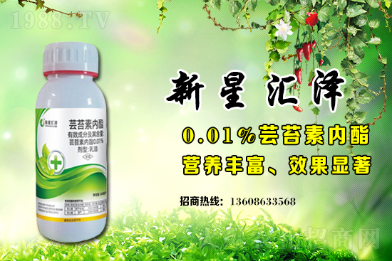 ���ѻ���