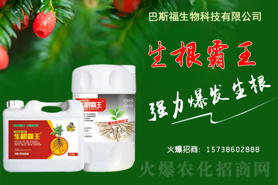 2021��4��20��ȫ�����ش󶹬F(xi��n)؛��(b��o)�r(ji��)