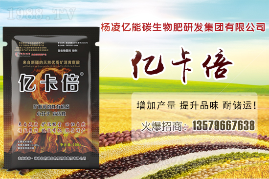 ���}�ۮa(ch��n)�����҇���Щʡ�������}������Щ��ҊƷ�N��