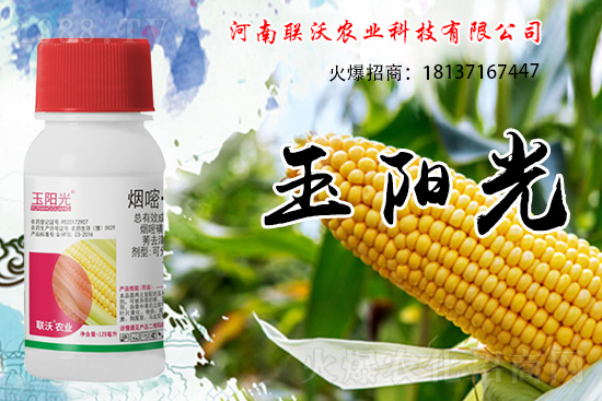 ���׳��ݞ�ʲô�x����������������݄���δ���