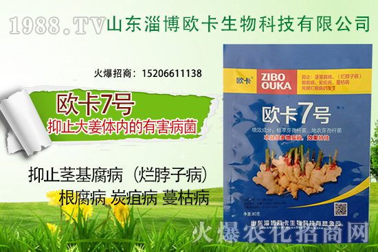 �W�������ٺ�1988.TV�����󌍬F(xi��n)��I(y��)�v�w����