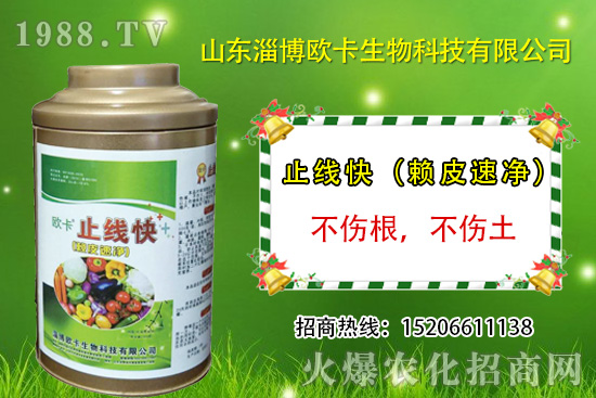 �W�������ٺ�1988.TV�����󌍬F(xi��n)��I(y��)�v�w����