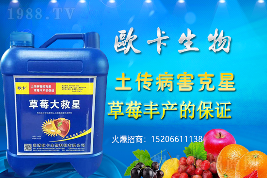 �W�������ٺ�1988.TV�����󌍬F(xi��n)��I(y��)�v�w����