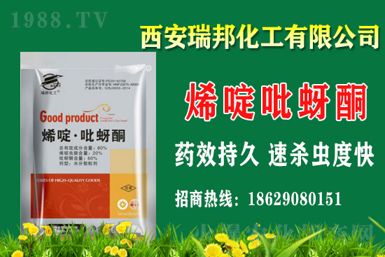 2021.4.25���x���r(ji��)���߄�