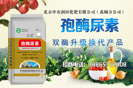 ��������������2021��6��21�������Ј������߄�