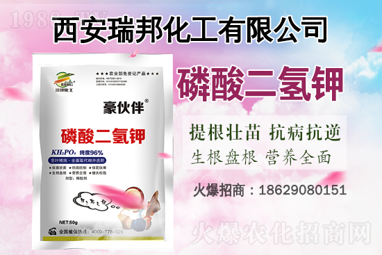 �Ȼ�⛸߃r�\����2021.6.29⛷ʃr�������Ո�