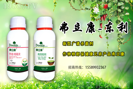 ��(gu��)�|���m(x��)�s1988.TV����(zh��n)�Ժ����P(gu��n)ϵ�������_(t��i)�A��