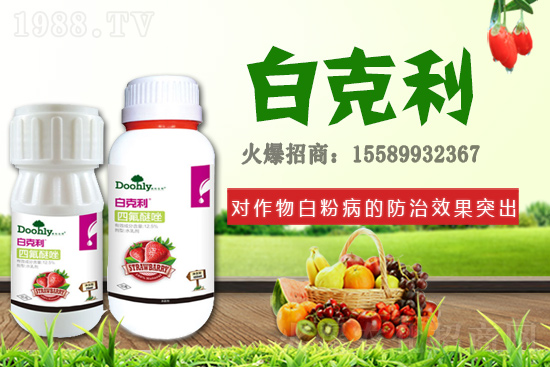 ��(gu��)�|���m(x��)�s1988.TV����(zh��n)�Ժ����P(gu��n)ϵ�������_(t��i)�A��