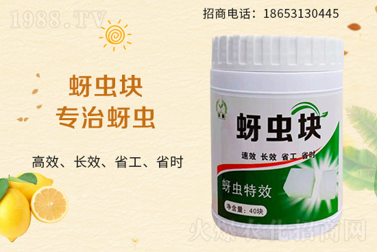 ����������(j��)����Դ����y��1988.TV�����W(w��ng)�j(lu��)������(zh��n)��(j��)��