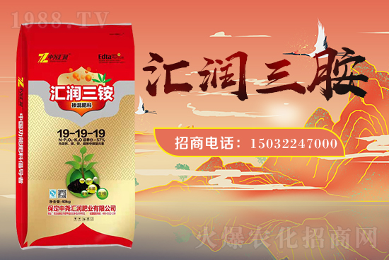 �r(n��ng)���W(w��ng)ϲӭ���������Ј�R�����s1988.TV�y�ִ����������E��