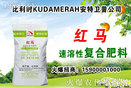 ��(f��)�Ϸʳ��S��r��2021��7��31�Տ�(f��)�Ϸʃr������