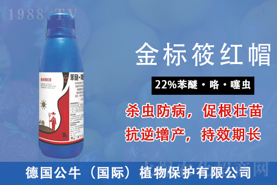 �׾����������r(ji��)���߄�(sh��)