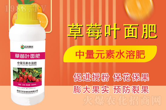 �����l(f��)չ������(chu��ng)δ��(l��i)���������ﺞ�s1988.TV������(chu��ng)���x����