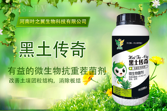 �������؈�r��2021��9��15�Շ��ȸ������؃r������