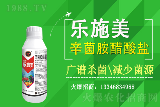 С����ù��