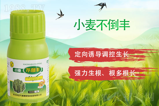 2022��2��4������������݄��r(ji��)��