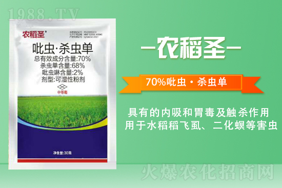 2022年2月5日毒死蜱殺蟲(chóng)劑價(jià)格