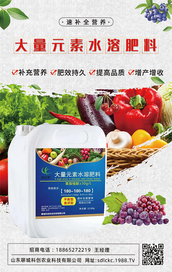 ɽ�|�ĳǿƄ�(chu��ng)�ٺ�1988.TV�����\�������p�A��