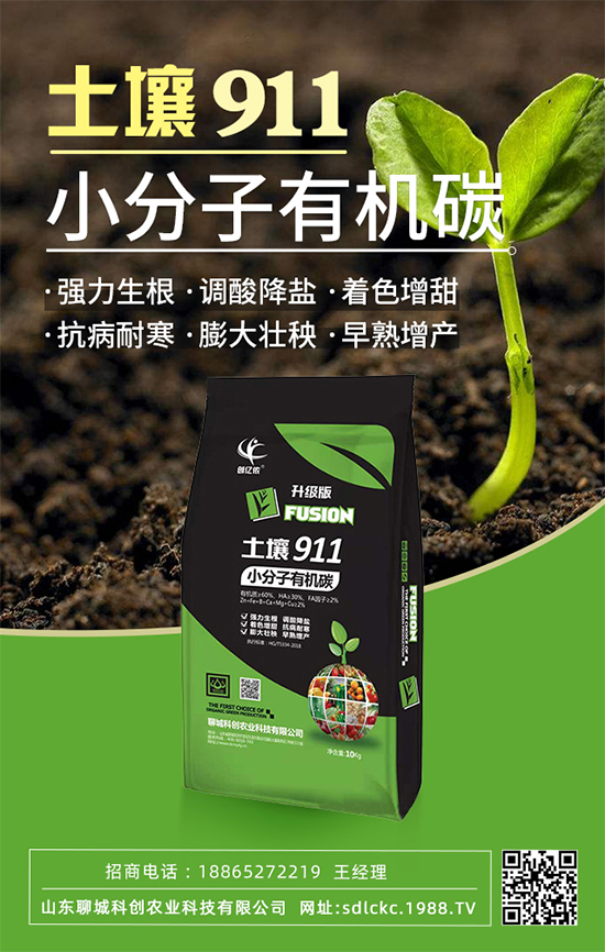 ɽ�|�ĳǿƄ�(chu��ng)�ٺ�1988.TV�����\�������p�A��