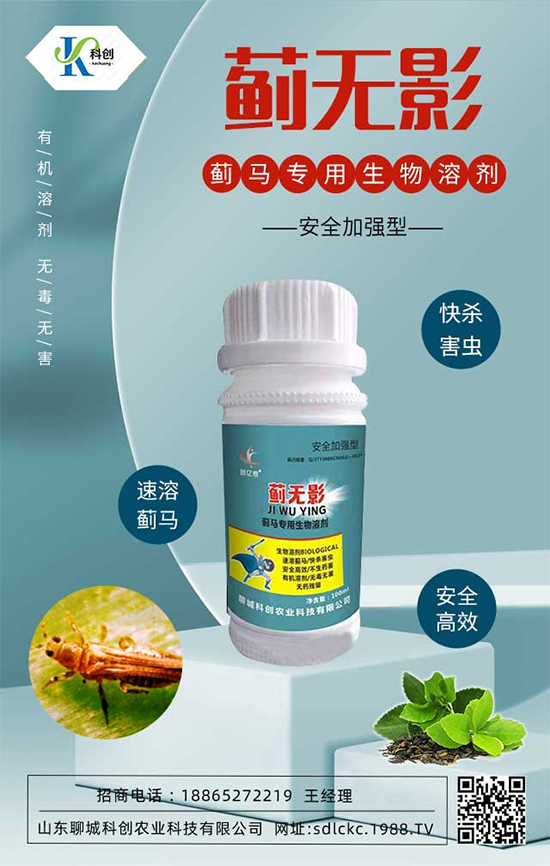 ɽ�|�ĳǿƄ�(chu��ng)�ٺ�1988.TV�����\�������p�A��