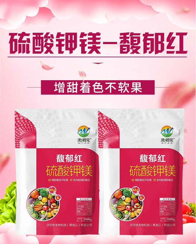 ����t-�֠���(y��u)_01