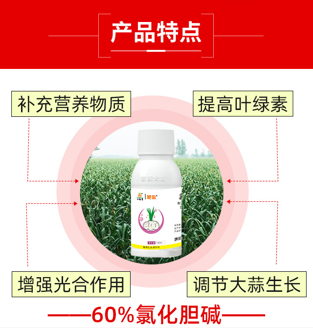 60%�Ȼ�đ�A-�ʸ�_04