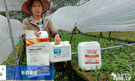 꿾����F(tu��n)81