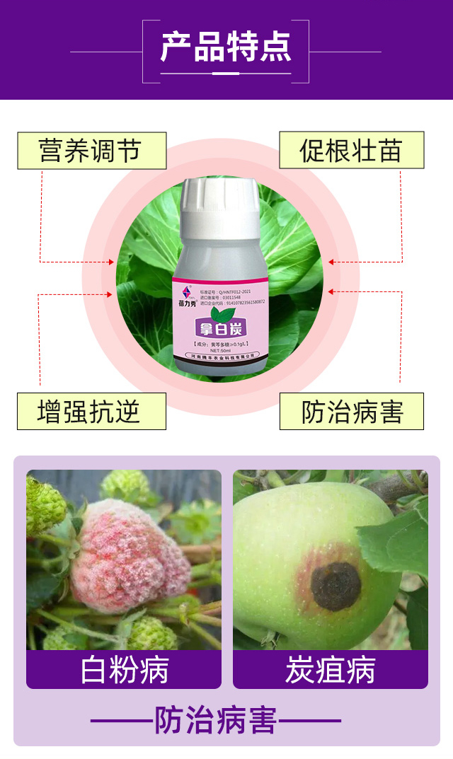 拿白炭-蓓力秀-騰豐農業(yè)_04