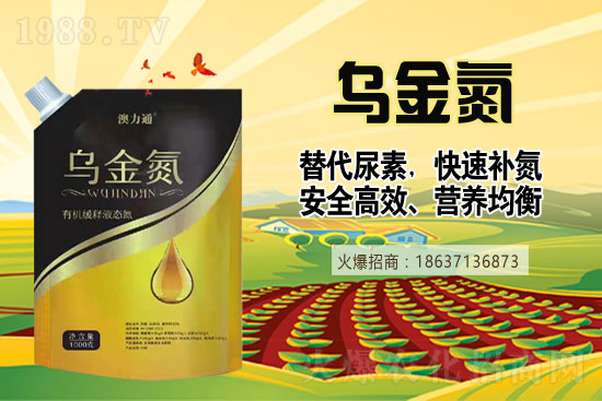 �������؃r����2022��2��23�����؃r��