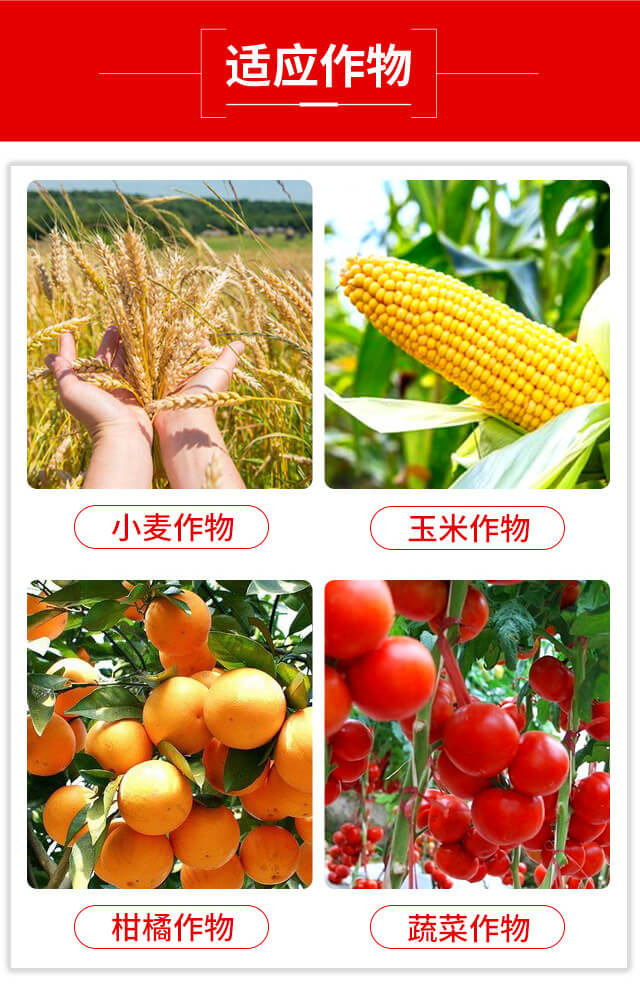 ���x(ch��ng)�����ȷ�-�{(l��n)��Ʒ��_03