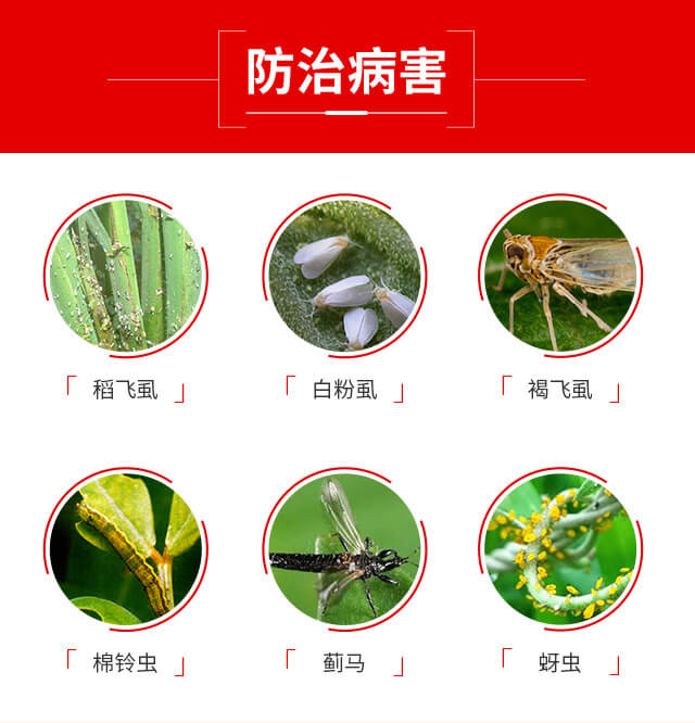 ���x(ch��ng)�����ȷ�-�{(l��n)��Ʒ��_04