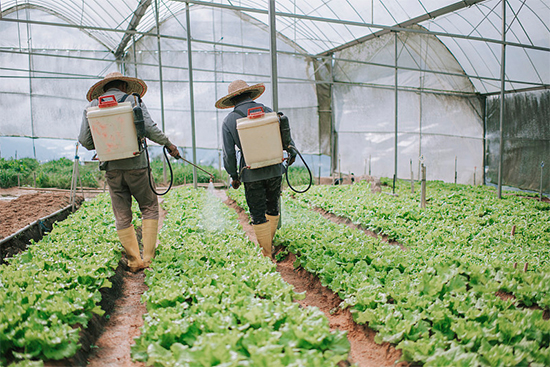 �ذ������ߌóɶ��N�I(y��)���[�����n11��18��