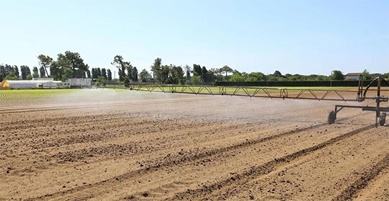 �ذ������ߌóɶ��N�I(y��)���[�����n11��18��