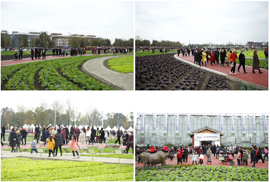 �ذ������ߌóɶ��N�I(y��)���[�����n11��18��