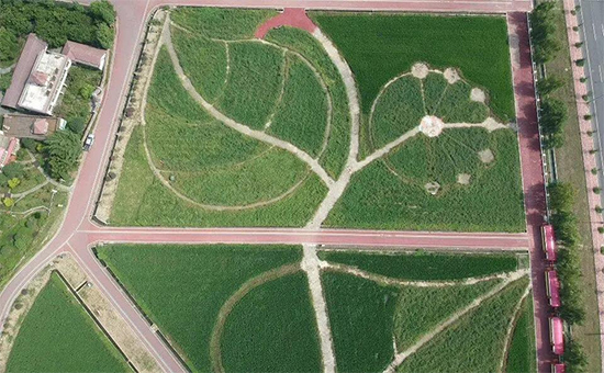 �ذ������ߌóɶ��N�I(y��)���[�����n11��18��