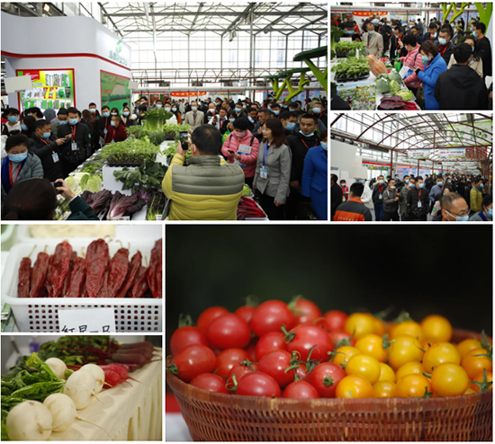 �ذ������ߌóɶ��N�I(y��)���[�����n11��18��