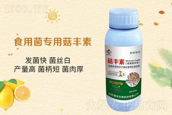 ƽ������Ҫ�c(di��n)����Ҫע����Щ���(xi��ng)��