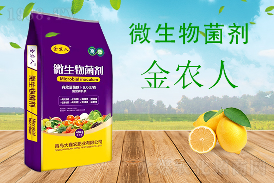 С���ƌW����������������ԓ��ô����