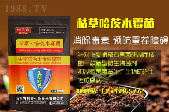 ���������l(f��)��ô��������������ʲôˎ�÷���Ч���ã�