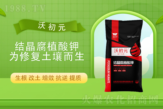 ����?q��ng)?b��o)�r(ji��)��2022��4��13�Տ�(f��)�Ϸ��Ј�(ch��ng)�r(ji��)��