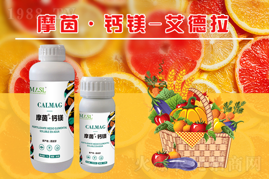 果樹補鈣黃金期來了,如何補好鈣鎂肥?