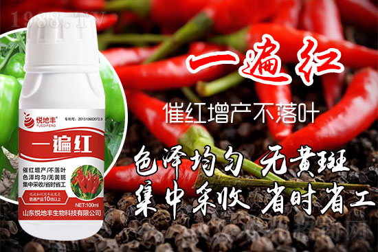 �����߼t��ʩ��ô�������������ǰ�����������߼tˎʲô�r(sh��)���ã�