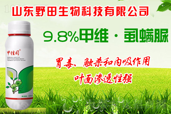 ��Сʳ���x��οƌW(xu��)��ˎ����Сʳ���x�l(f��)��ԭ�򼰷��ν��h��