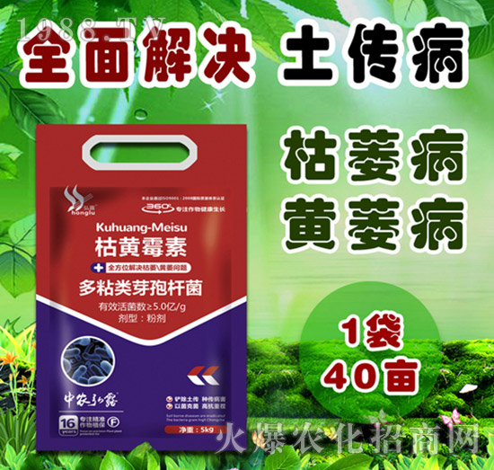     ��(x��)���Բ�������Щ������ˎ����ô�x��һƪ�����f����