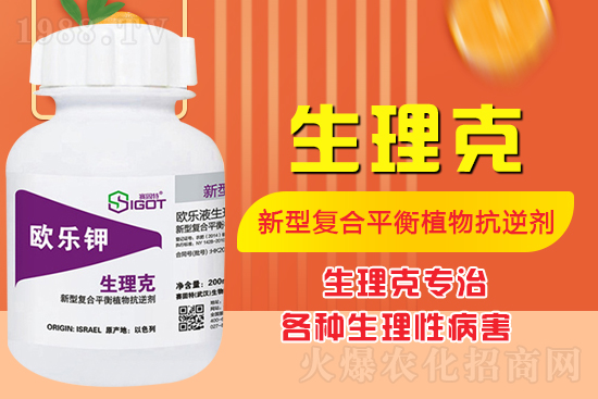 ����Ě������ʲô�Y������ô��Q����Ě������