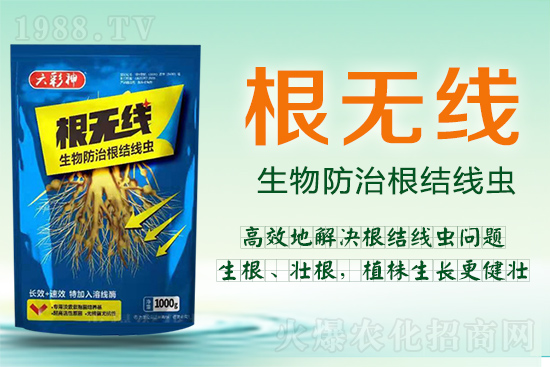 ���Y(ji��)���x�������ך��^�y���@�ӷ���Ч���õ��@����