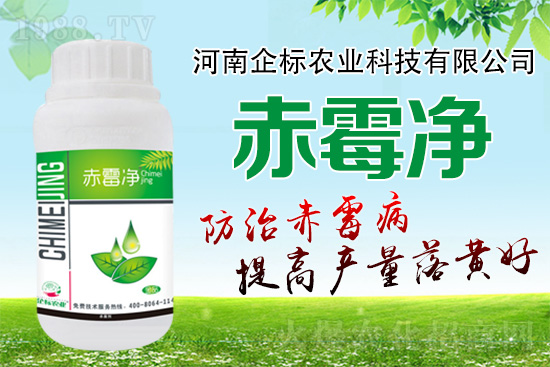 �o�����ѣ�δ��ʮ����С����ù�������P(gu��n)�I�ڣ���(w��)��ץ����