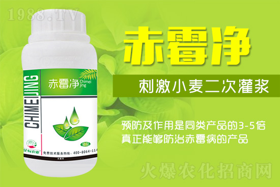 �o�����ѣ�δ��ʮ����С����ù�������P(gu��n)�I������(w��)��ץס��