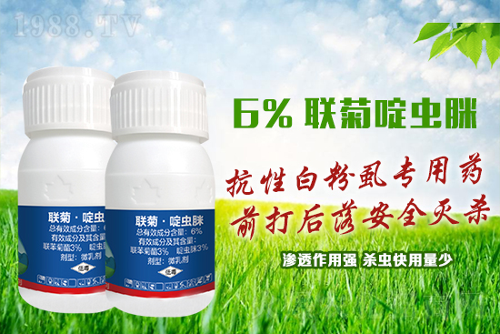 ���԰׷�ʭ�y�����y�����@����ˎ�x���p�������x��